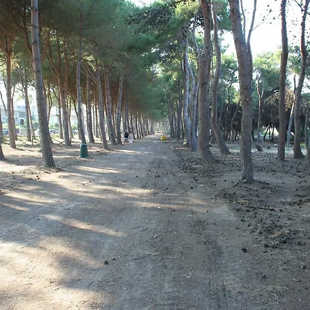 Pinetina