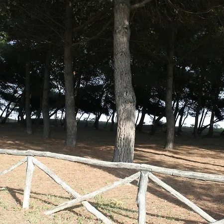 アパート Pinetina *