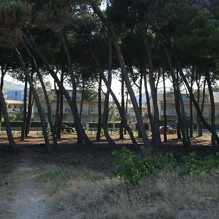 Pinetina アパート *