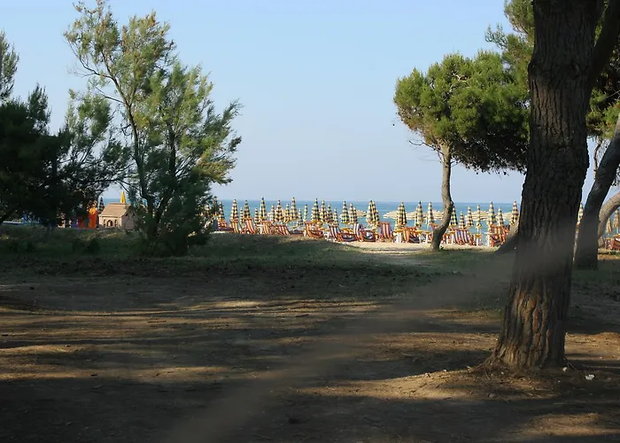 Pinetina Beach Apartment Silvi Marina