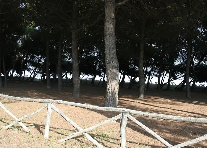 Apartment Pinetina Beach *