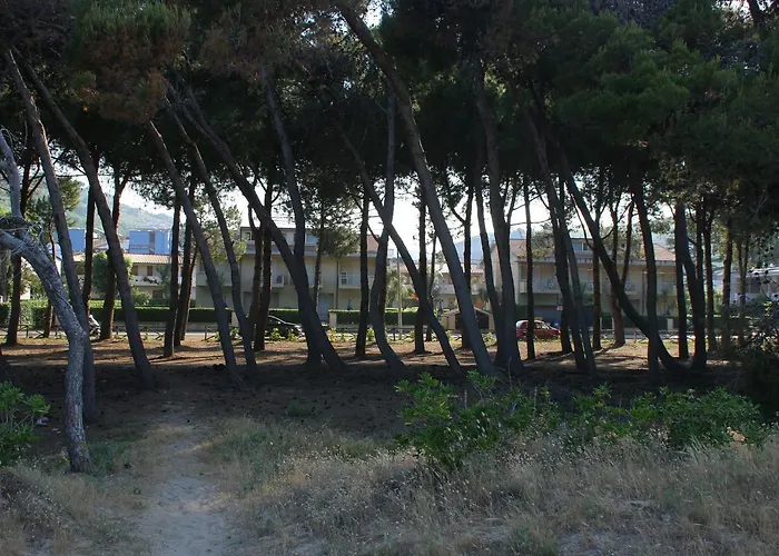 Pinetina Beach Apartment *